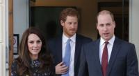 Kate Middleton, Prinz William und Prinz Harry in den Royal-News der Woche.