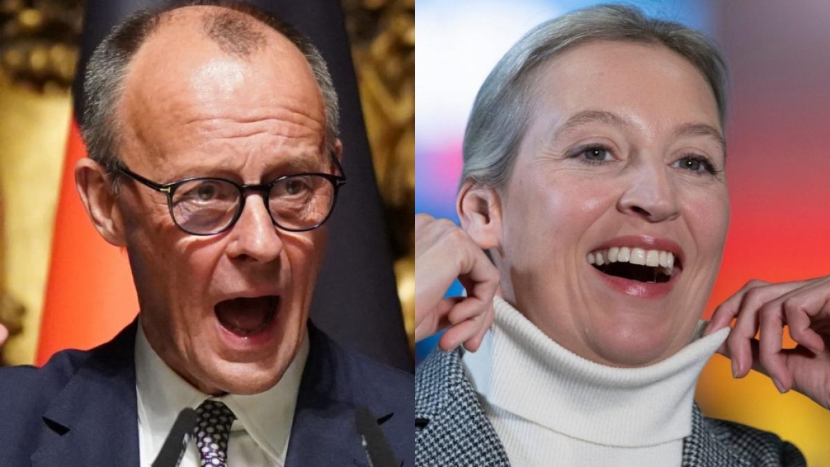 AfD-Chefin Alice Weidel hat Friedrich Merz (CDU) eindringlich zur Zusammenarbeit in Migrationsfragen aufgefordert. (Foto)