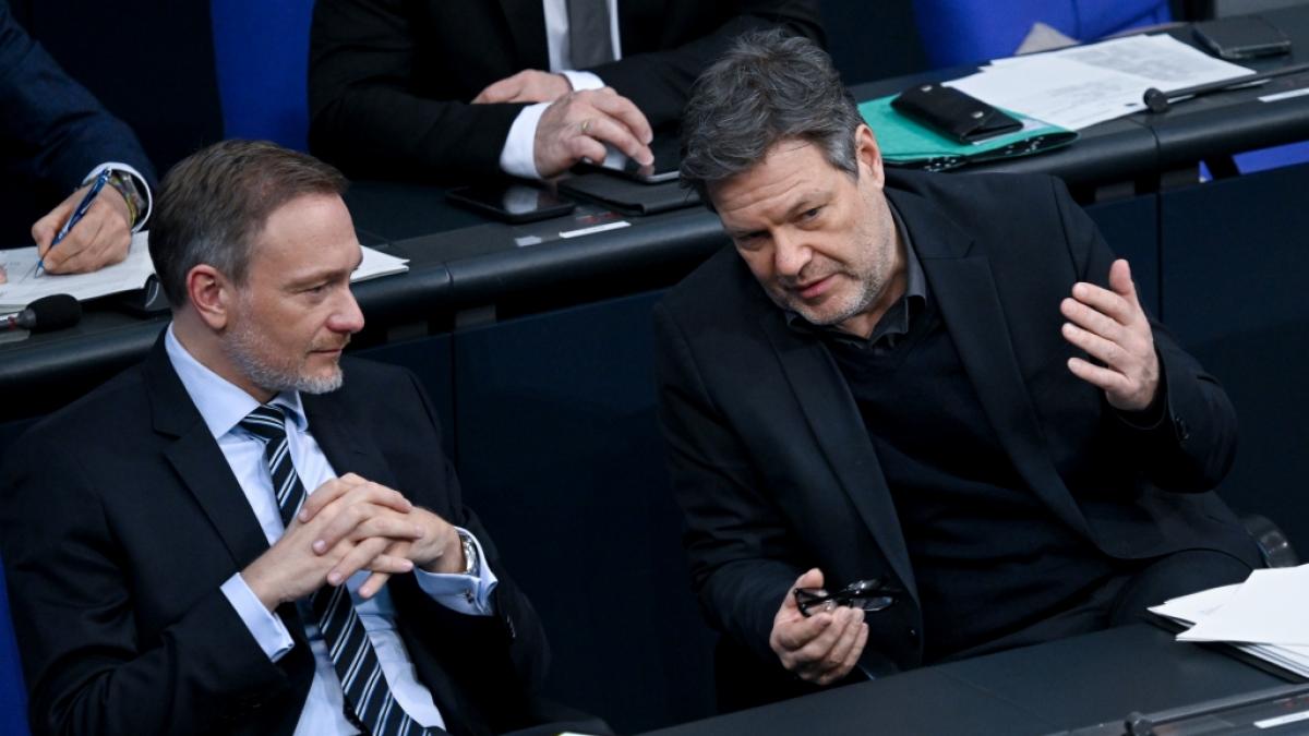 Christian Lindner (l.) und Robert Habeck (r.) am&uuml;sieren das Netz jetzt mit einem gemeinsamen Selfie. (Foto)
