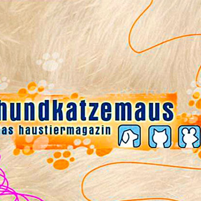 Wiederholung und Mediathek zur Sendung