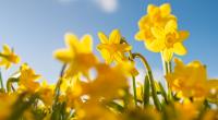 Kurz vor Ostern klettern die Temperaturen teilweise über 25 Grad.