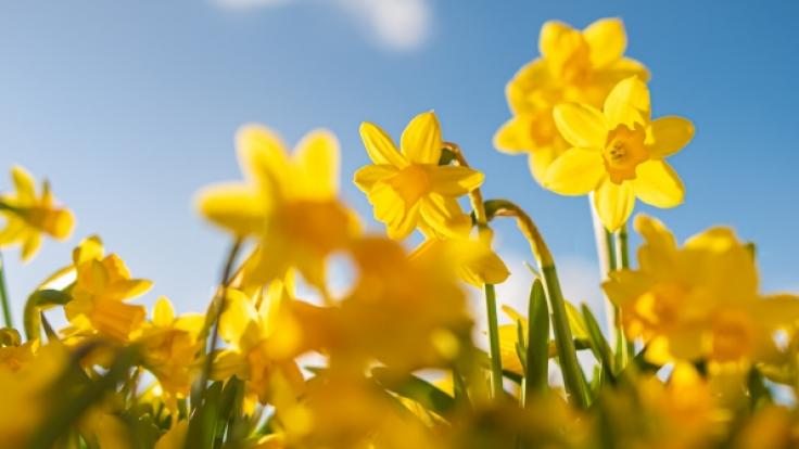 Kurz vor Ostern klettern die Temperaturen teilweise über 25 Grad.