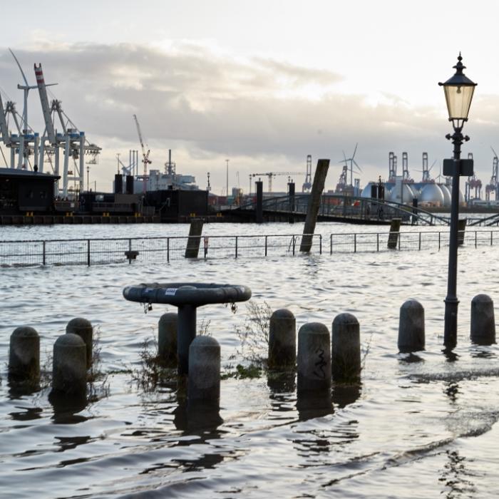 Fischmarkt unter Wasser! Hansestadt erlebt erste Flut der Saison