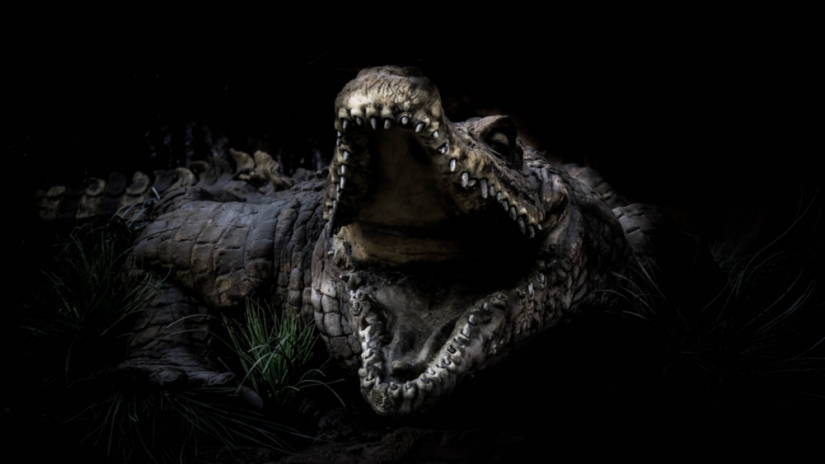 Ein Krokodil hat ein Baby in Borneo verschlungen. (Foto)
