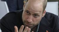 Prinz William ist während seiner Südafrika-Reise zwangsweise von Prinzessin Kate getrennt, schwärmte jedoch in den höchsten Tönen von ihr.