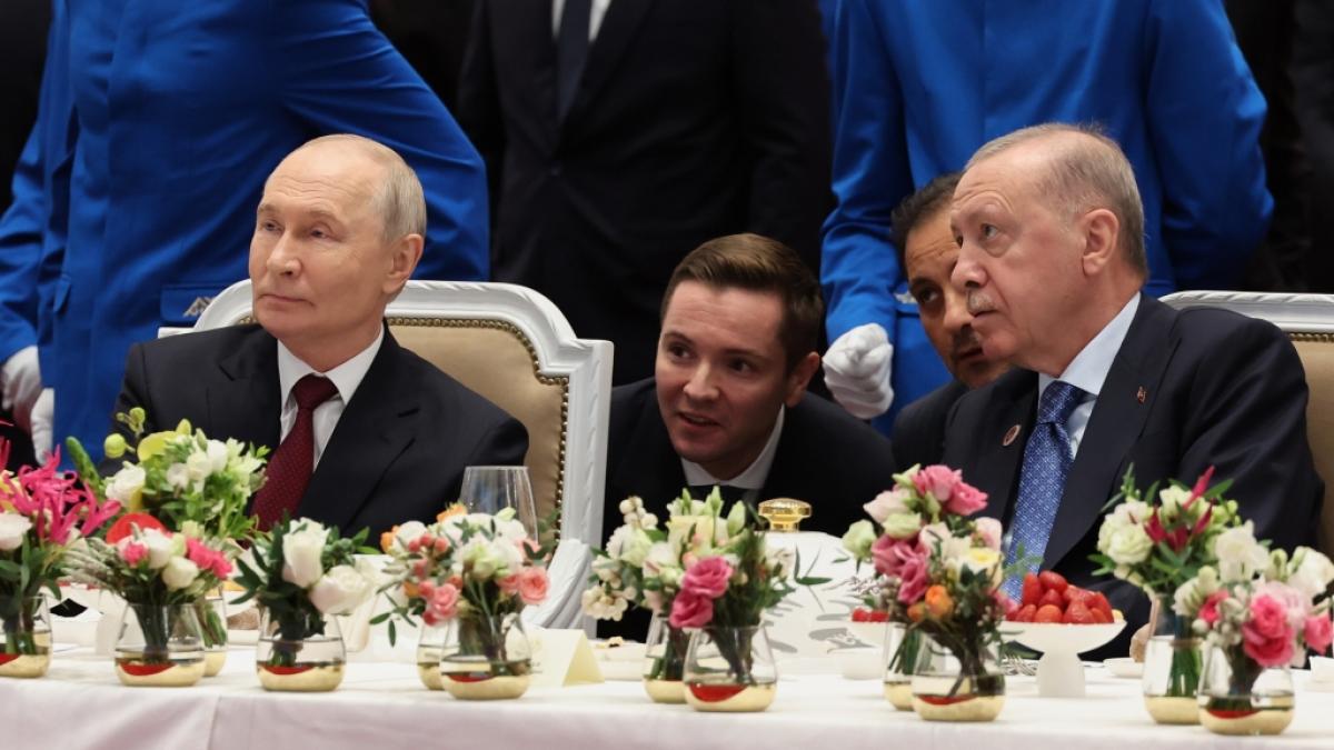Erdogan sucht N&auml;he zu Putin &ndash; das will die T&uuml;rkei erreichen (Foto)