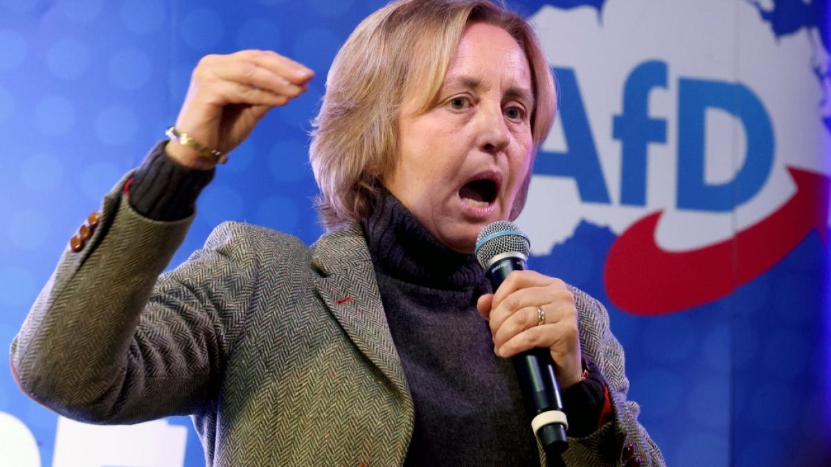 Ist Beatrix von Storch gegen&uuml;ber einem AfD-Fraktionskollegen rabiat geworden? (Foto)