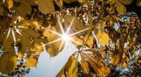 Erwartet Deutschland einen goldenen Oktober?