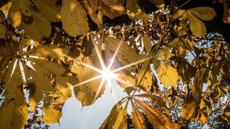 Erwartet Deutschland einen goldenen Oktober?