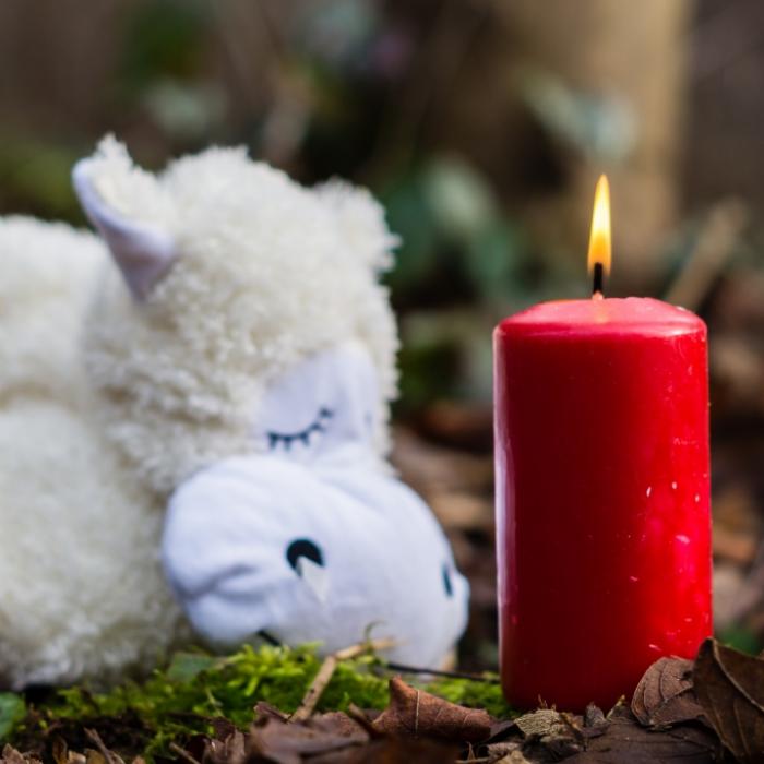Leiche in Müllbeutel gesteckt! Mutter (15) tötet ihr Neugeborenes mit Wattebällchen