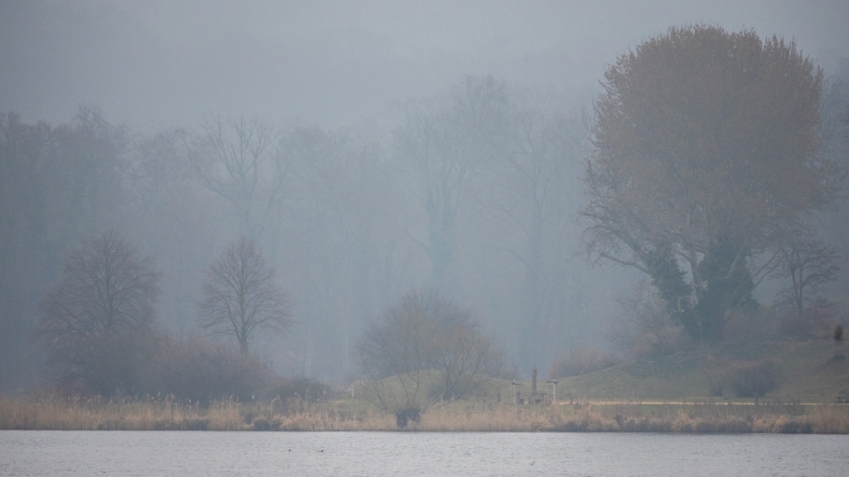 Der DWD hat eine Warnung vor Nebel herausgegeben (Symbolbild). (Foto)