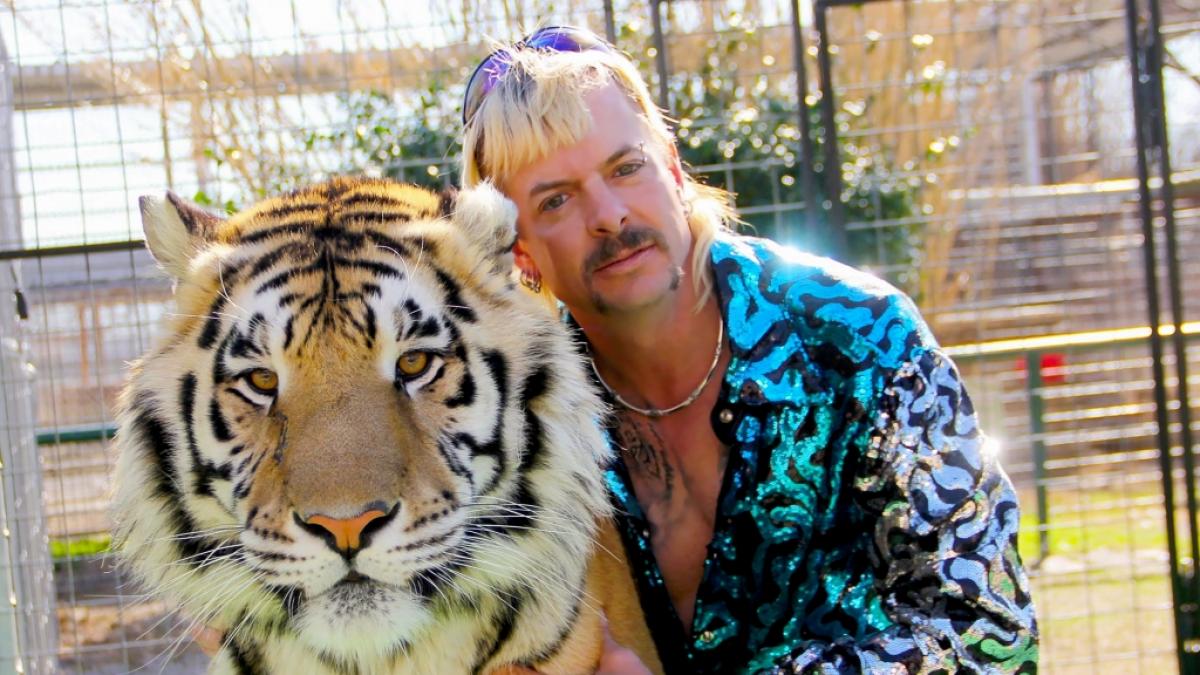 "Gro&szlig;katzen und ihre Raubtiere" (Foto)