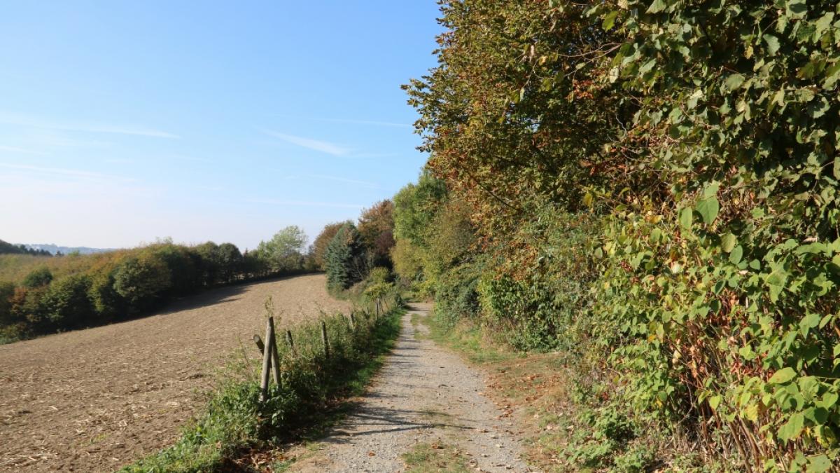 Setzt sich der D&uuml;rresommer im September 2022 fort? (Foto)