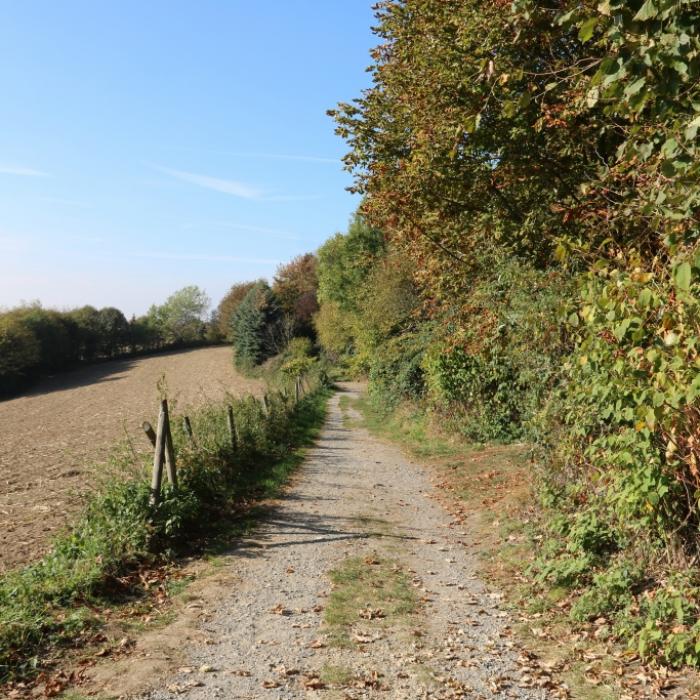 Heißer Spätsommer prophezeit! Verschiebt sich der Herbst in diesem Jahr?