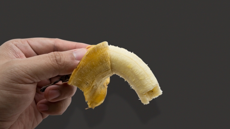 Die skurrilsten Penis-Meldungen der vergangenen Monate haben es in sich.