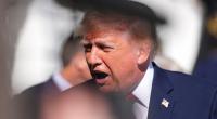 Mit einer privaten Anekdote will Donald Trumps ehemaliger Impeachment-Anwalt Michael T. van der Veen beweisen, dass der 80-jährige Präsident geistig voll auf der Höhe ist.