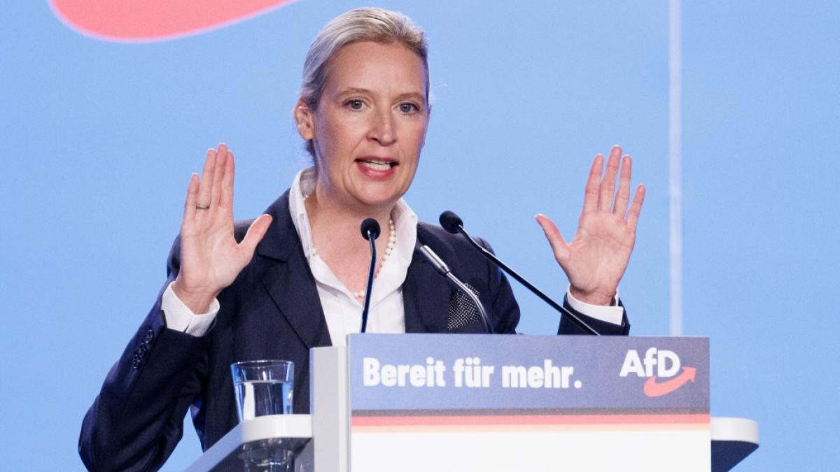 Alice Weidel, AfD-Bundesvorsitzende und Fraktionsvorsitzende der AfD, im Juli 2023. (Foto)