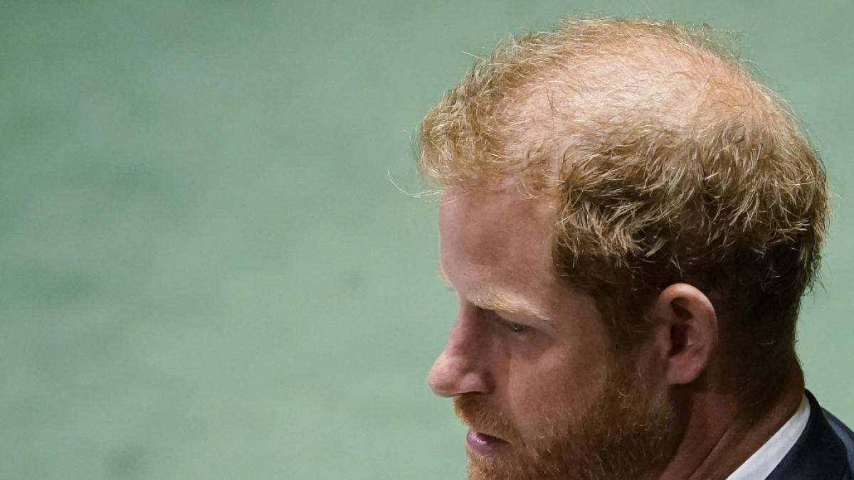 Prinz Harry wurde auf Twitter f&uuml;r seine Haare verspottet. (Foto)