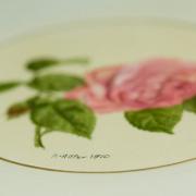 Das Aquarell 