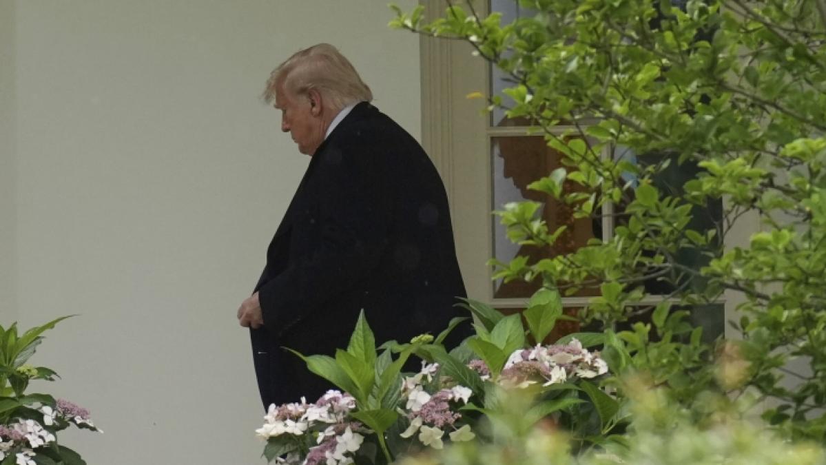 F&uuml;r sein Krypto-Dinner hat sich Donald Trump reichlich Spott eingehandelt. (Foto)