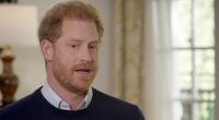 Prinz Harry ließ in einem TV-Interview keinen Stein auf dem anderen.