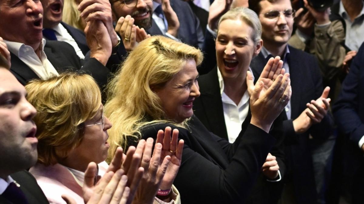 Die AfD hat in Berlin nach einer Wahlpanne allen Grund zur Freude. (Foto)