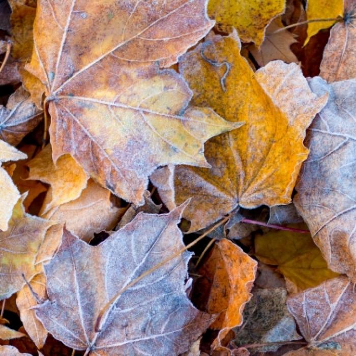 Temperaturen knallen durch! Droht uns ein Wintereinbruch?