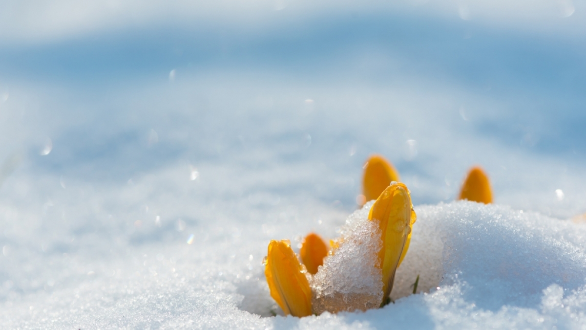 Droht im M&auml;rz ein eiskaltes Wintercomeback? (Foto)