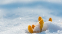 Droht im März ein eiskaltes Wintercomeback?