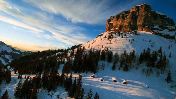Natur Im Garten Paradies Vor Der Haustur Im Stream Und Tv So Sehen Sie Die Naturreihe News De