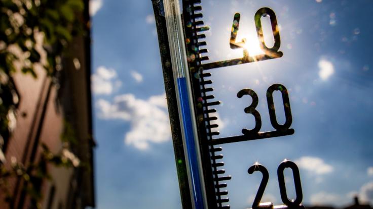 Pünktlich zum Sommer-Anfang 2019 stehen Deutschland blendende Wetteraussichten ins Haus.