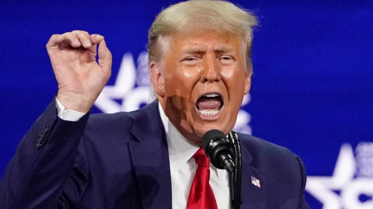 Donald Trump war auch in dieser Woche f&uuml;r den einen oder anderen Schocker zu haben. (Foto)
