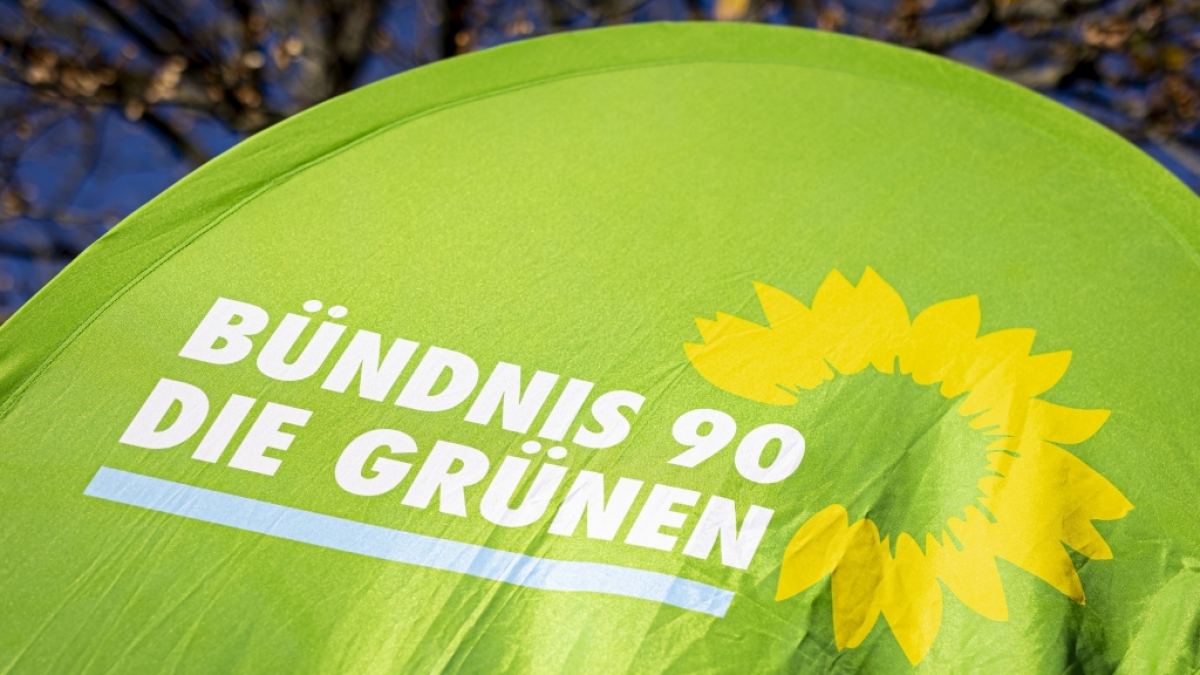 Die Gr&uuml;nen erhielten eine Gro&szlig;spende &uuml;ber 35.000 Euro (Symbolbild). (Foto)