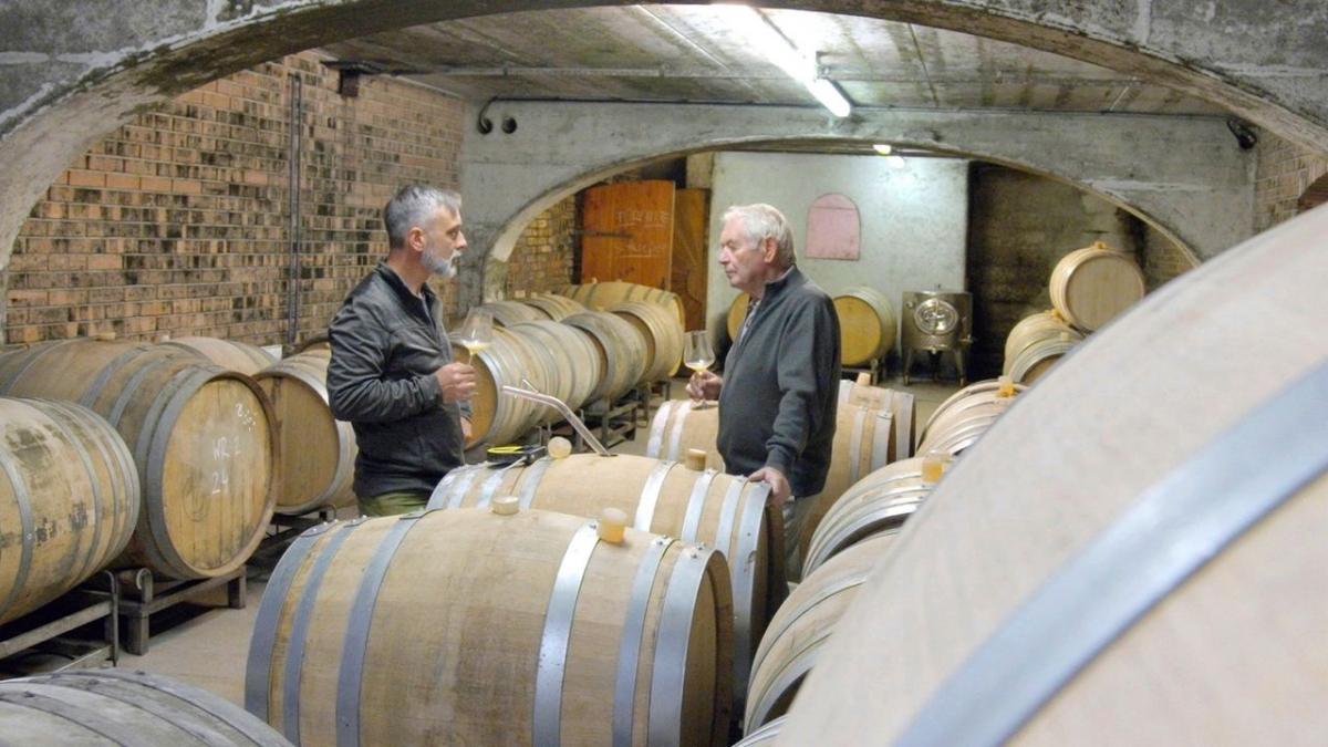 Der gro&szlig;e Weinskandal bei Arte (Foto)