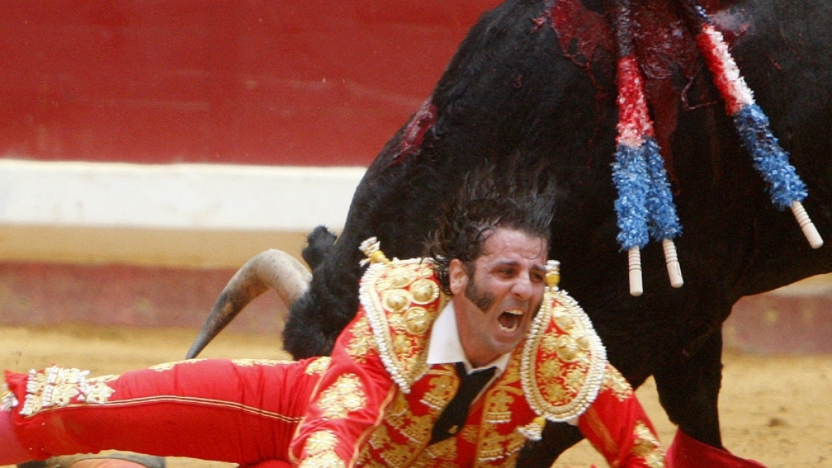 Der spanische Torero Juan Jose Padilla wird im August 2009 von einem Stier schwer verletzt. (Foto)