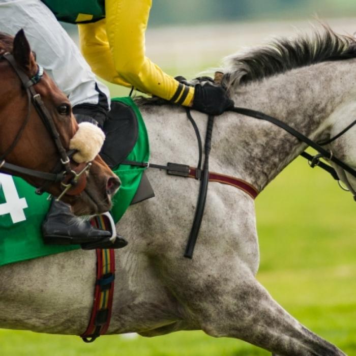 Beim Pferderennen tot getrampelt! Jocky stirbt mit nur 24 Jahren