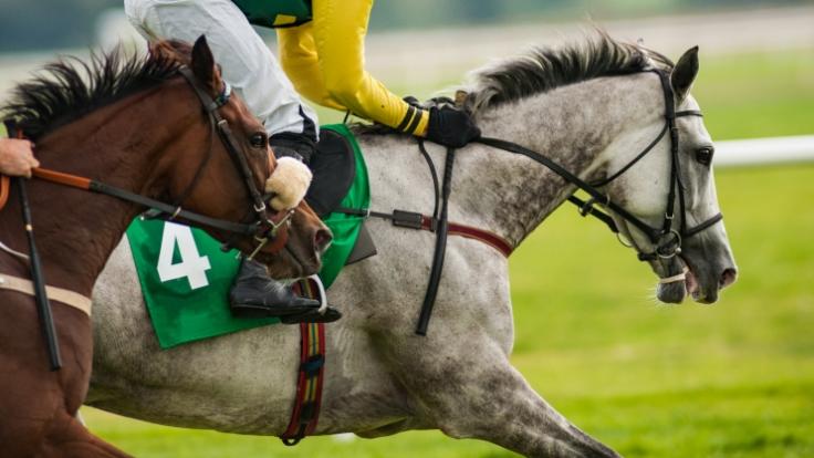 Ein Jockey wurde beim Pferderennen tot getrampelt.