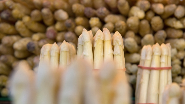Spargel wird am 31. März 2016 auf einem Markt in Stuttgart (Baden-Württemberg) an einem Stand zum Verkauf angeboten.