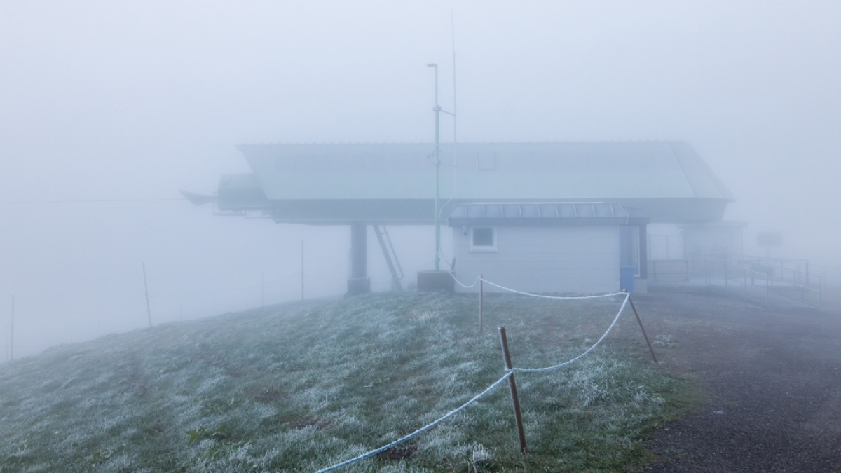 Der DWD hat eine Warnung vor Nebel herausgegeben (Symbolbild). (Foto)