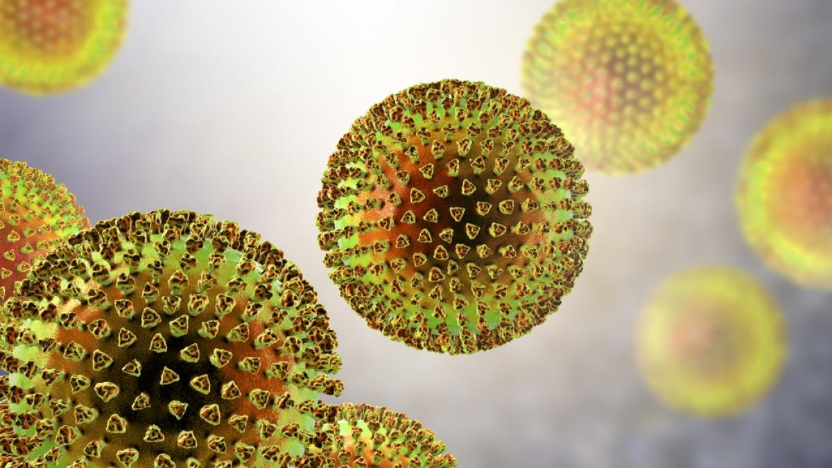 Wissenschaftler haben ein virales Protein entdeckt, das die Immunantwort des K&ouml;rpers aushebelt. (Foto)
