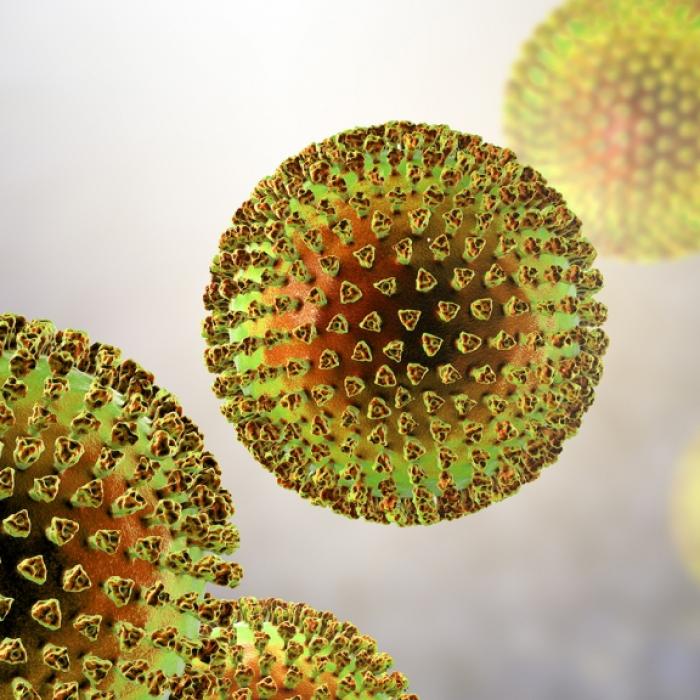 Wissenschaftlicher Durchbruch! DIESES Protein hebelt Immunantwort aus