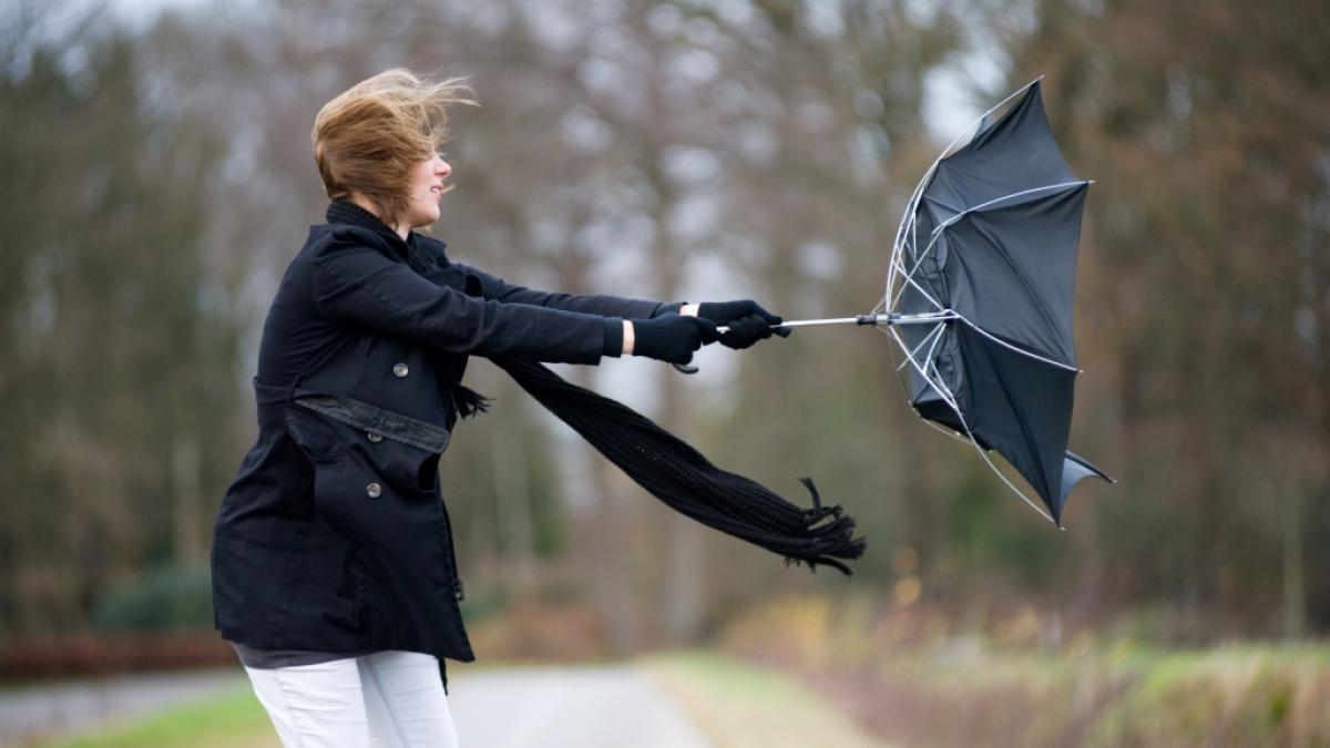 Wettervorhersage: Es wird windig. (Foto)