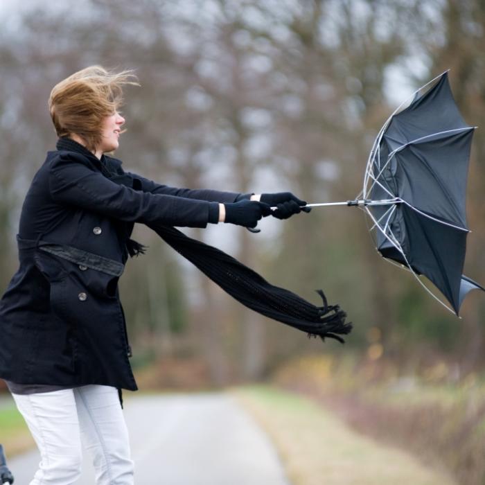 Achtung wegen Windböen - Wetterdienst gibt für Montag Warnung aus