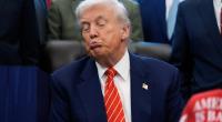 Donald Trumps plötzlicher Sinneswandel im Bezug auf die US-Einwanderungspolitik hat in Washington für Verwunderung gesorgt - wer oder was steckt dahinter?