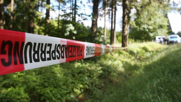 Das Verschwinden von zwei Schwestern in Kalifornien löste eine groß angelegte Suchaktion aus - mit erfreulichem Ausgang (Symbolbild).