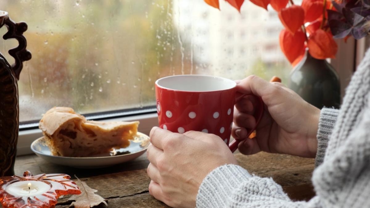 An verregneten Herbsttagen m&ouml;chte man den ganzen Tag am liebsten nur drinnen bleiben. (Foto)