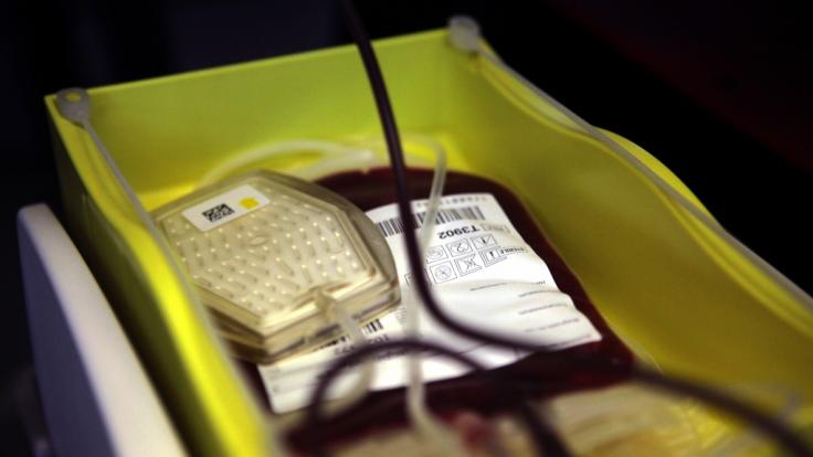 Impfgegener haben Angst Bluttransfusionen mit Blut von Geimpften zu bekommen. (Foto)