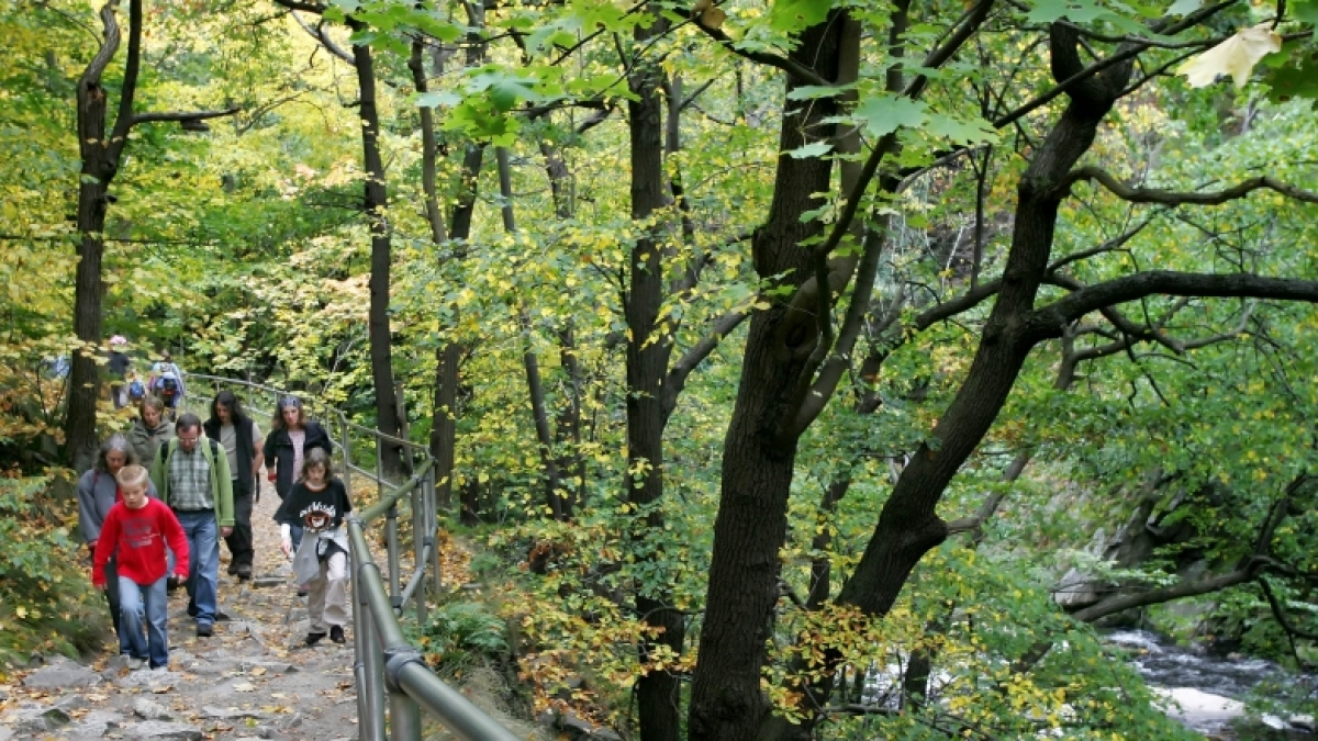 Wandern (Foto)