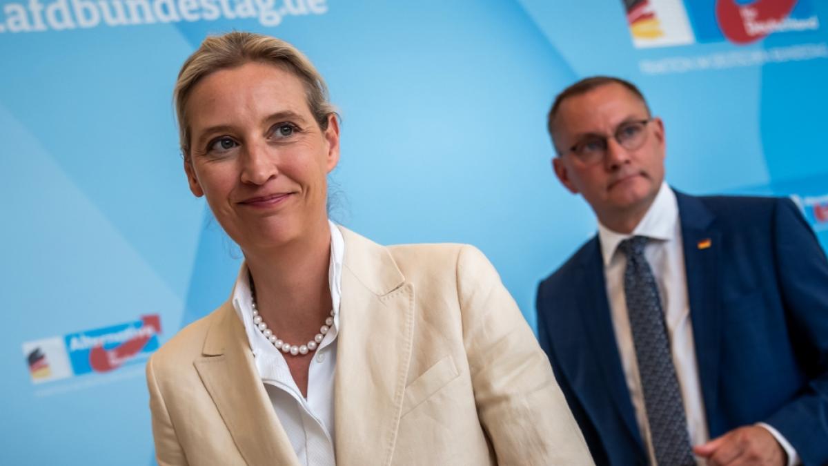 Immer weniger Deutsche lehnen die AfD kategorisch ab - die Partei von Alice Weidel und Tino Chrupalla w&uuml;rden laut aktuellen Umfragewerten nur 49 Prozent unter keinen Umst&auml;nden w&auml;hlen. (Foto)