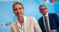 Immer weniger Deutsche lehnen die AfD kategorisch ab - die Partei von Alice Weidel und Tino Chrupalla würden laut aktuellen Umfragewerten nur 49 Prozent unter keinen Umständen wählen.
